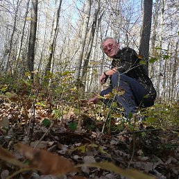 ���� ������, ��������-��-������, 64 ���� - ��������� 13 ������ 2014