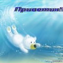 ���� �����, �������, 50 ��� - ��������� 2 ������� 2013 � ������ ���� ����������