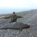 ���� �����, ���������, 61 ��� - ��������� 13 �������� 2013