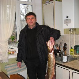 ���� �������, �������, 62 ���� - ��������� 28 ������ 2013