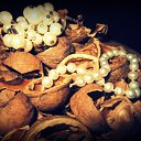 ���� Nata Li Legata, ��������� - ��������� 8 ������� 2013 � ������ ������.�