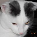 ���� ������, ������ �����, 34 ���� - ��������� 23 ������� 2013