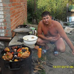 ������ ���� 2013