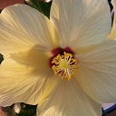 ���� �����, ������, 67 ��� - ��������� 6 ������� 2013 � ������ ���� ����������