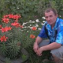 ���� ������, ���������, 66 ��� - ��������� 7 ����� 2014 � ������ ���� ����������