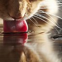 ���� ����, ������, 43 ���� - ��������� 10 ������ 2013 � ������ ���� ����������