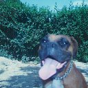 ���� ������, ���������� - ��������� 11 �������� 2013 � ������ ���� ����������