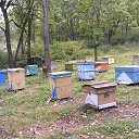 ���� �����, �������������, 58 ��� - ��������� 29 ������� 2013