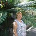 ���� ����, ��������, 70 ��� - ��������� 15 �������� 2013 � ������ ���� ����������