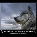  ,  -  18  2014    