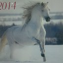 ����� ���--2014 �� ������� ������ ���-2014.�����-2�