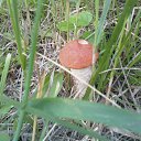 ���� ������, ������, 69 ��� - ��������� 31 ������ 2014