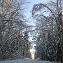 ���� Olga, ������, 60 ��� - ��������� 18 ������� 2014 � ������ ���� ����������
