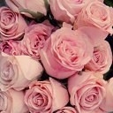 ���� ������, ������, 39 ��� - ��������� 25 ������� 2014 � ������ ������ ��������