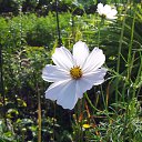  Sergey, , 54  -  8  2013   