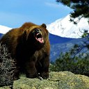 ���� �����, ������, 71 ��� - ��������� 19 ������� 2014 � ������ ���� ����������