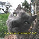 ���� ���, ������, 39 ��� - ��������� 5 ����� 2014 � ������ ������ ��������