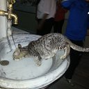 ���� �����, ���������, 52 ���� - ��������� 17 ������ 2013