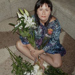 ����� ��������, ���������, 52 ����