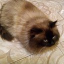 ���� ���������, ��������, 58 ��� - ��������� 6 ������ 2014