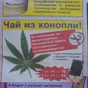���� ����, ������� - ��������� 9 ������� 2013 � ������ ���� ����������