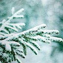 ���� �������, �������������, 70 ��� - ��������� 18 ������� 2013 � ������ ������ ��������