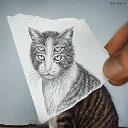  , , 53  -  9  2014   Ben Heine