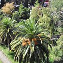 ������ . �������. �� ������� ���� ����������