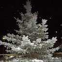 ������� ��� �� ������� �����������