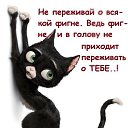 ���� �����, ������ - ��������� 18 ������ 2013 � ������ ������� ������� �����