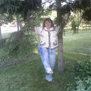 ���� ���������, �����������, 41 ��� - ��������� 10 �������� 2013 � ������ ���� ����������