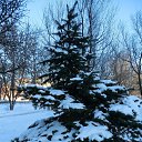 ���� ���������, ���������������, 61 ��� - ��������� 26 ������ 2014 � ������ �������