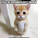 ���� ���������, �����-���������, 41 ��� - ��������� 21 ������ 2013 � ������ ���� ����������