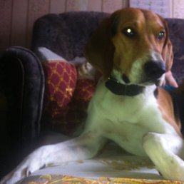 ���� ������, ������, 50 ��� - ��������� 31 ������� 2013