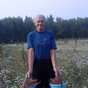 ���� ��������, �����, 74 ���� - ��������� 8 ����� 2014 � ������ ���� ����������