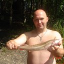 ���� C�����, ������, 56 ��� - ��������� 8 ������� 2013