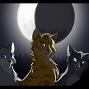 ���� ����, ��������, 22 ���� - ��������� 7 �������� 2013 � ������ ����� �������