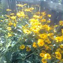  Masha, , 43  -  7  2013    