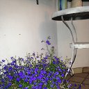 ���� �������, �����-���������, 58 ��� - ��������� 5 ������� 2013 � ������ ���� ����������