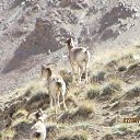 ���� �����, ������, 61 ��� - ��������� 24 ������� 2013