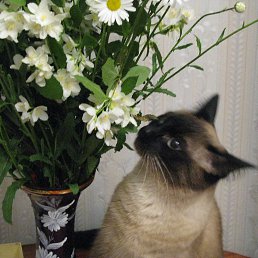 ���� �������, ������������ - ��������� 14 �������� 2013