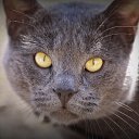 ���� ����, ����, 47 ��� - ��������� 31 ������� 2013 � ������ ���� ����������