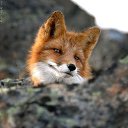 ���� �����, ������, 59 ��� - ��������� 5 ����� 2014 � ������ ���� ����������