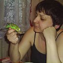  ,  -  11  2013     ...