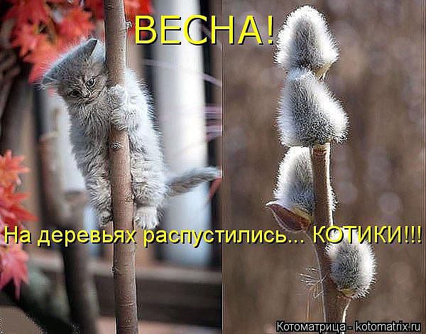 � ����� ������ ����������� - 5