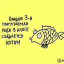 ���� �����, �����������, 23 ���� - ��������� 24 ������ 2014 � ������ ���� ����������