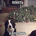 ���� ***����***, �������, 50 ��� - ��������� 13 ������ 2014