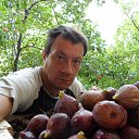  Igor, , 51  -  22  2014    