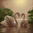 ���� �����, ���������, 48 ��� - ��������� 27 �������� 2013 � ������ ���� ����������