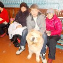 ���� ������, �����������, 58 ��� - ��������� 12 ������ 2014 � ������ ���� ����������